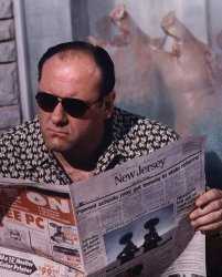 tony soprano reading Meme Template