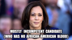 Kamala Harris is NOT African American Meme Template