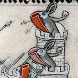 Medieval Rabbits Meme Template