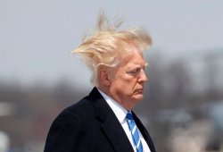 trump hair Meme Template