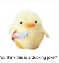 you think this is a ducking joke? Meme Template