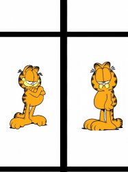 Garfield meme Meme Template