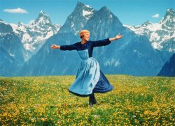 Hills are alive with hempcrete Meme Template