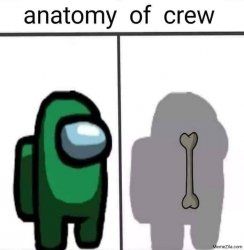 among us anatomy Meme Template