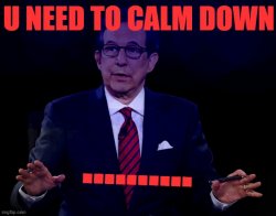 Chris Wallace you need to calm down Meme Template