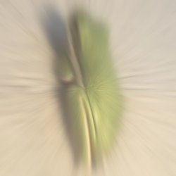 Frog blur Meme Template
