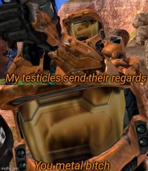 My testicles send their regards Meme Template