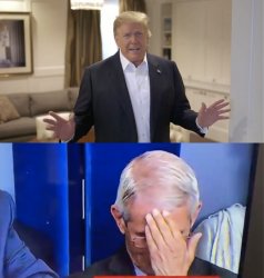Trump Fauci Facepalm Meme Template