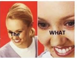 the what. Meme Template