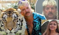 Carole Baskin puts Tiger King in Jail Meme Template