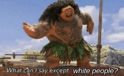 What Can I Say Except White People? Meme Template