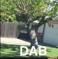 Dabbing tree Meme Template