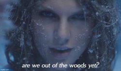 Taylor Swift are we out of the woods yet Meme Template