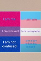 Transgender and bisexual Meme Template
