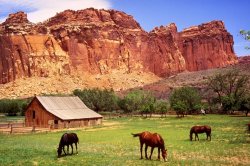 Capitol Reef Meme Template