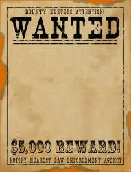 wanted Meme Template