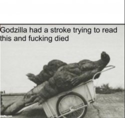 Godzilla had a stroke trying to read this and fucking died Meme Template