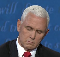 FLY ON PENCE Meme Template