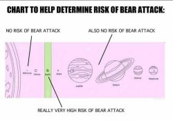 Risk of bear attack Meme Template