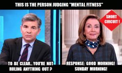 Pelosi has the audacity to judge Trump's "mental fitness" Meme Template