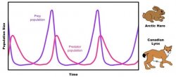 Population curve Meme Template