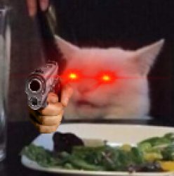 he no like u Meme Template