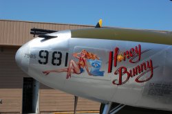 Honey Bunny Nose-Art  P-38 Meme Template