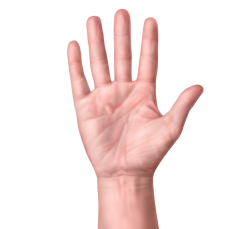 The Hand Meme Template