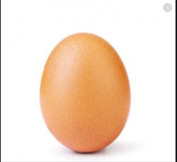 every one use this egg first to try to get 1000 views Meme Template