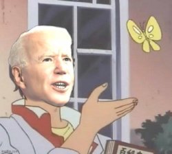 Is this a biden Meme Template