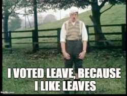 Voting for leaves Meme Template