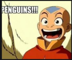 Aang penguins Meme Template