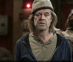 William h Macy Meme Template