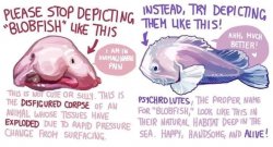 Justice for Blobfish Meme Template