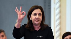 qld government Meme Template