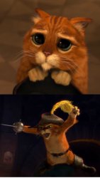 Harmless cat vs angry cat Meme Template