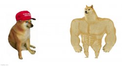 Cheems MAGA hat vs. Swole Doge Meme Template