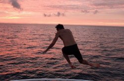 Jack Barakat Diving Into Sea Meme Template