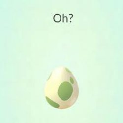 Oh Pokemon Egg Meme Template