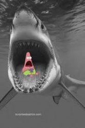 Patrick shark Meme Template