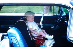 Because MAGA Meme Template