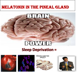 sleep deprivation and the brain Meme Template