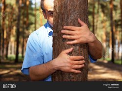 Man Behind Tree Meme Template
