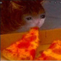 depressed cat eating pizza Meme Template