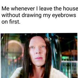 Eyebrows matter Meme Template