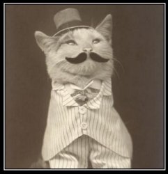 Cat with Mustache and Top Hat Meme Template