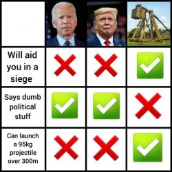 Trebuchet 2020 Meme Template