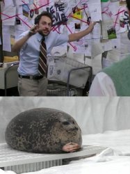 Charlie Day Explains to a Seal Meme Template