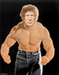 Hulk Trump Meme Template