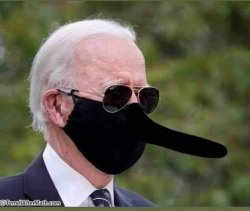 biden Meme Template